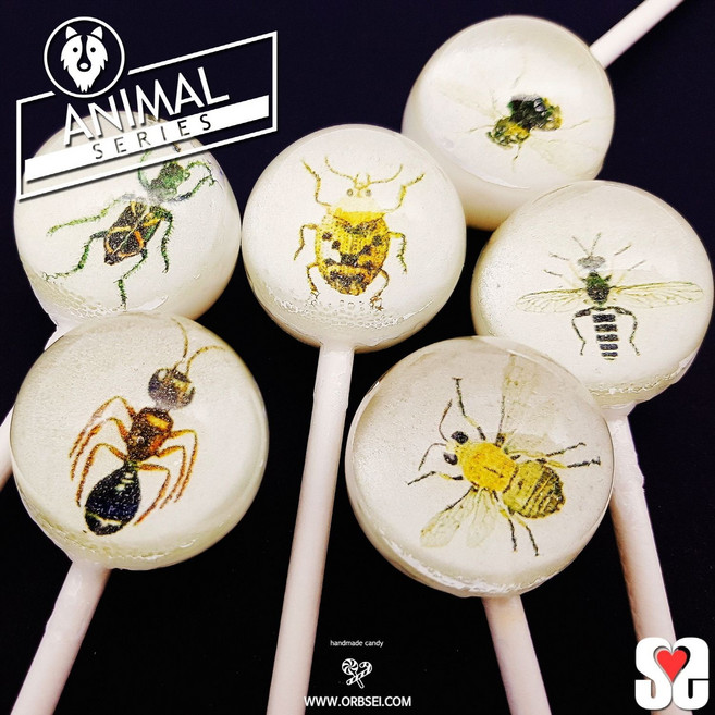 곤충 일러스트 Part1(마쉬멜로우맛), 23g