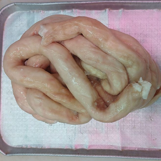 구이용 손질 한우 대창 1kg 생대창 소대창, 1개