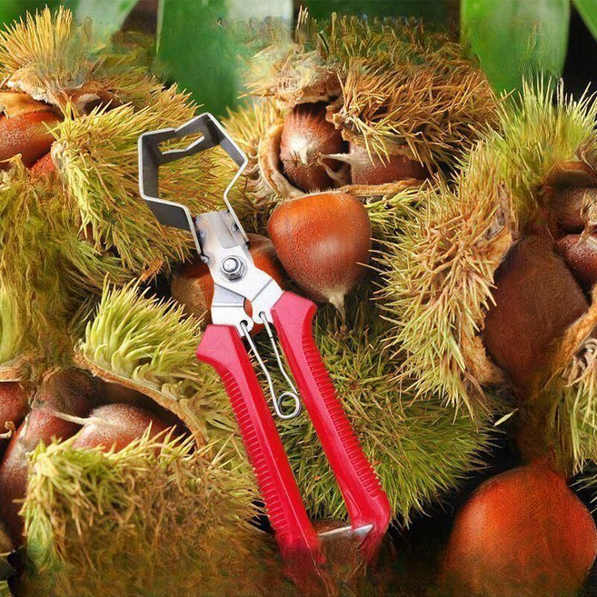 추석 밤 손잡이형 탈피기 스테인리스 껍질 제거 도구, 1개, 1개