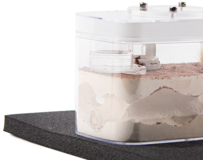 螞蟻帝國 超厚減震墊 40x20cm，適用於蟻巢，減少震動, 1個