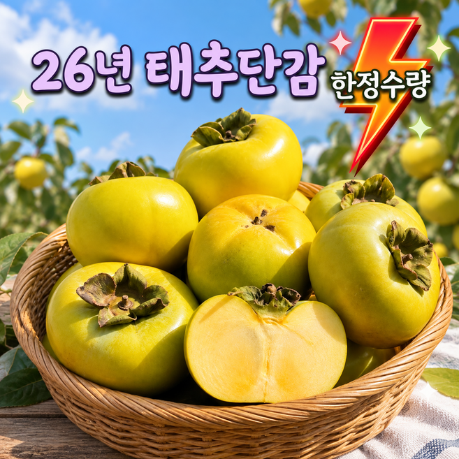 8위 - (한정수량) 26년 고당도 프리미엄 태추단감 산지직송 구매찬스, 1개, 1kg