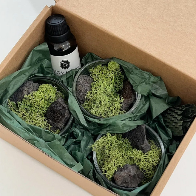 스칸디아모스 공기정화 식물 스톤 디퓨저 선물 SET, 1개, 피기