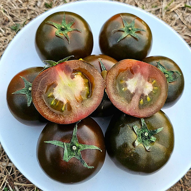 보성 흑 토마토 까만토마토 흑 찰토마토 완숙토마토 생토마토 고당도토마토 완숙찰토마토, 1개, 2kg