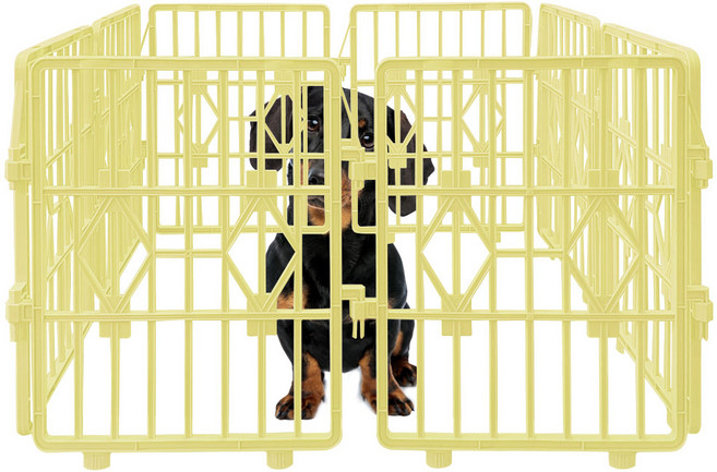 내품애 강아지 울타리 펜스 철장 아이보리 8p, 1개