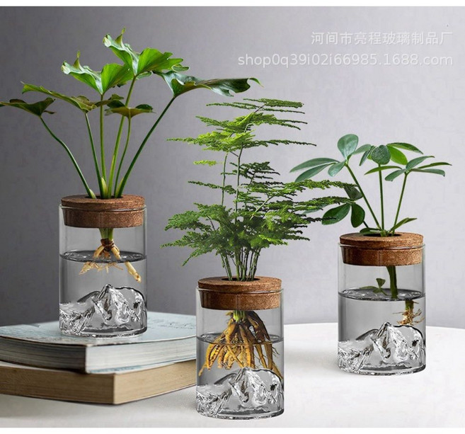 osshop 크리스탈 미니 수경재배 화병, 수경재배화병