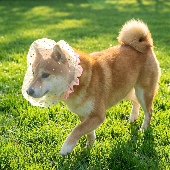 카라몰리 강아지 페이스커버 취식금지 해충 방지 얼굴망, 2개, 핑크