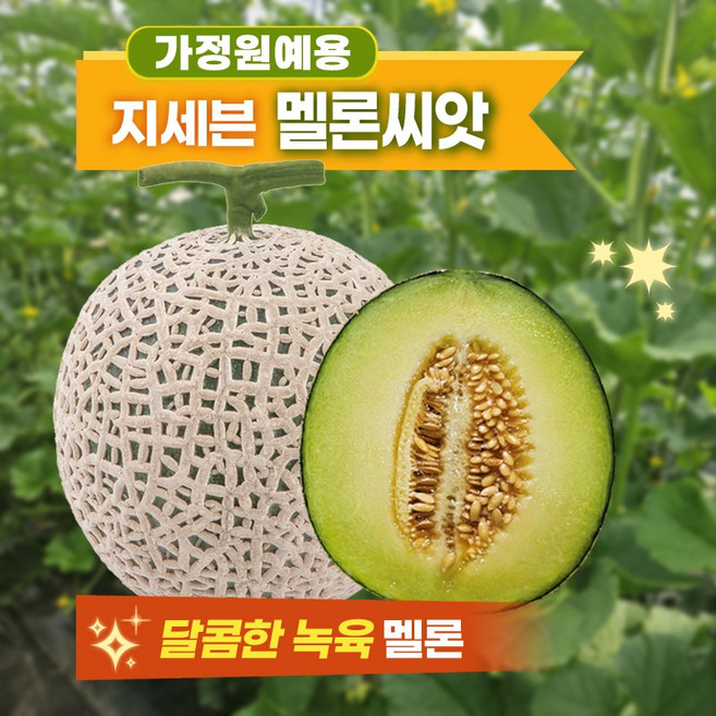 멜론씨앗 PMR지세븐 가정원예 텃밭용 녹육 네트멜론 10립, 1개