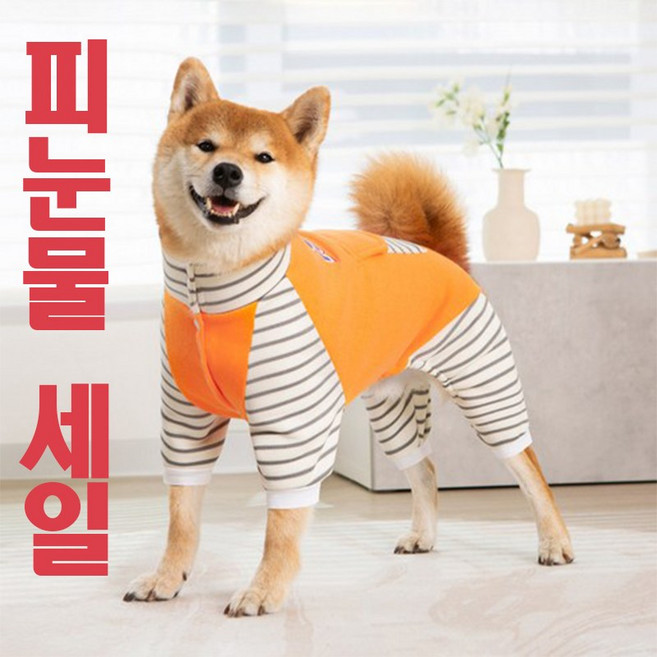 굿스펫 강아지옷 실내 실외복 올인원 중형견 대형견옷, 오렌지, 1개