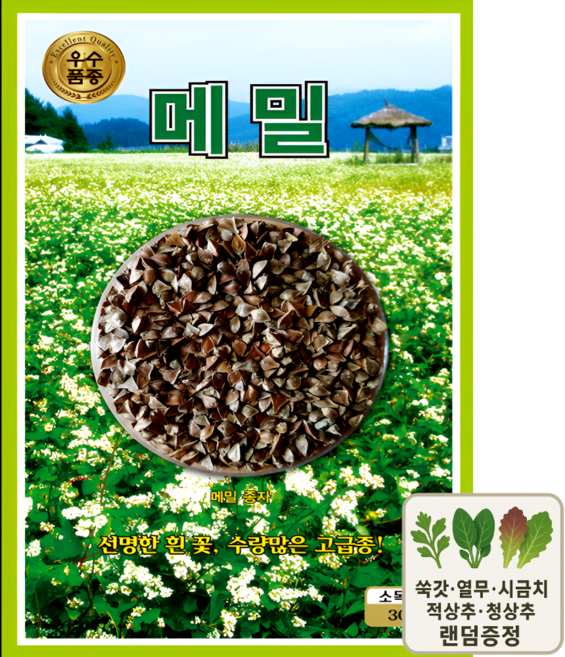 메밀 씨앗 30g 우수품종 커몬 선명한 흰꽃 봄파종 대량재배용 종자 ks