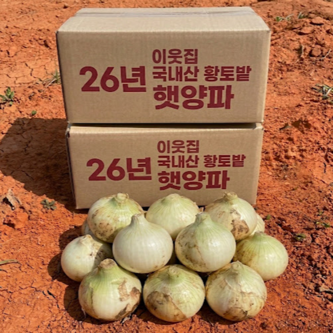 이웃집 국내산 황토밭 양파 햇양파, 1박스, 양파 (중대혼합) 5kg