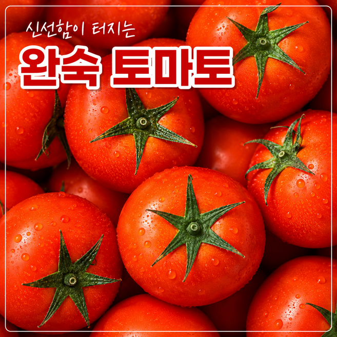 리얼에이츠 산지직송 완숙 찰 토마토 로얄과, 1박스, 5kg