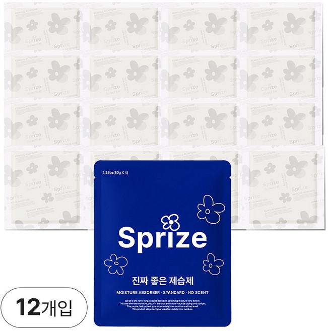 서프라이즈 진짜 좋은 제습제 일반형 10+2개입, 12개, 30g