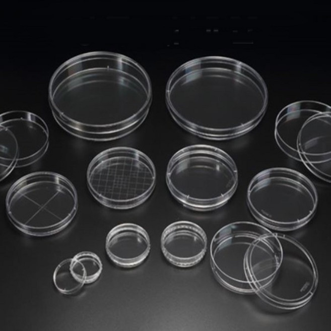 패트리디쉬 100mmx15mm (10개입/팩)정품국내산sp010100 비멸균 샤알레 샬레