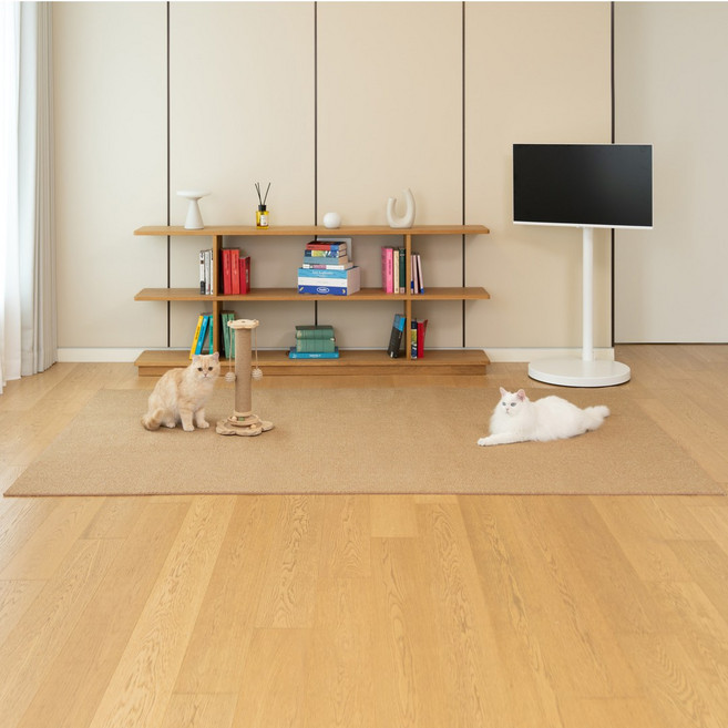 집사 필수템 벤스투 친환경 고양이 카페트 스크래쳐, 1개, 다크브라운