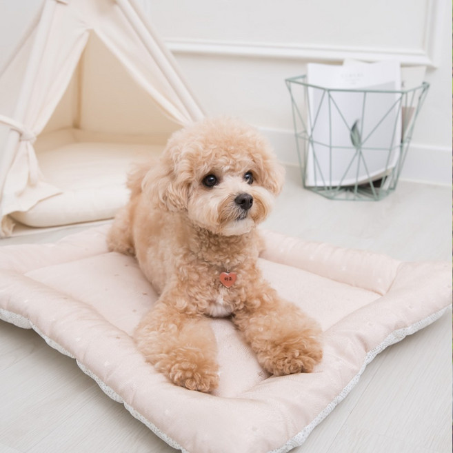 올마이펫 시원하고 도톰한 인견강아지 쿨방석매트, 쿨방석-블루, 1개