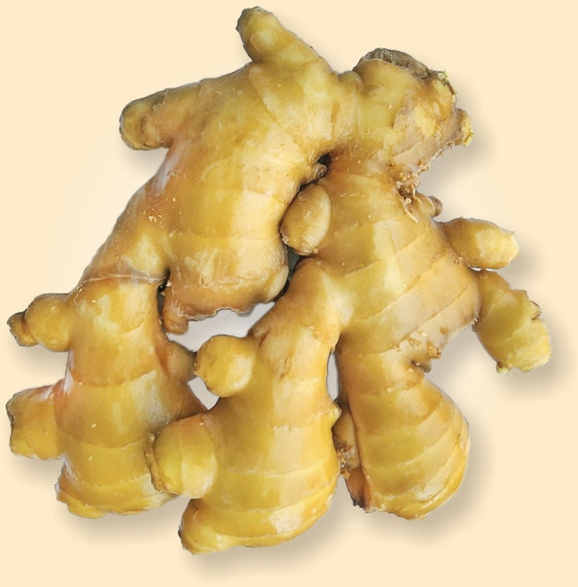 수입생강 생강 세척생강 업소용생강 특대생강, 9900박스, 10