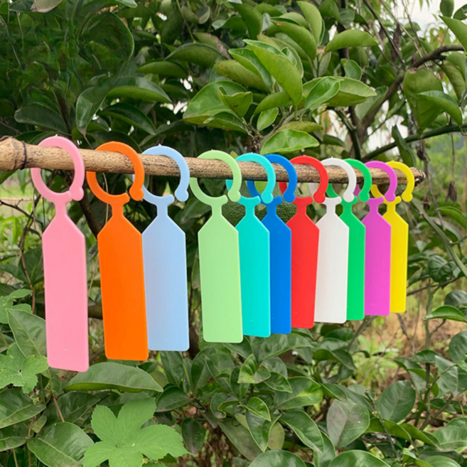 청연 걸이형 이름표 50p 고리형 식물 네임텍, 걸이형 이름표 노랑