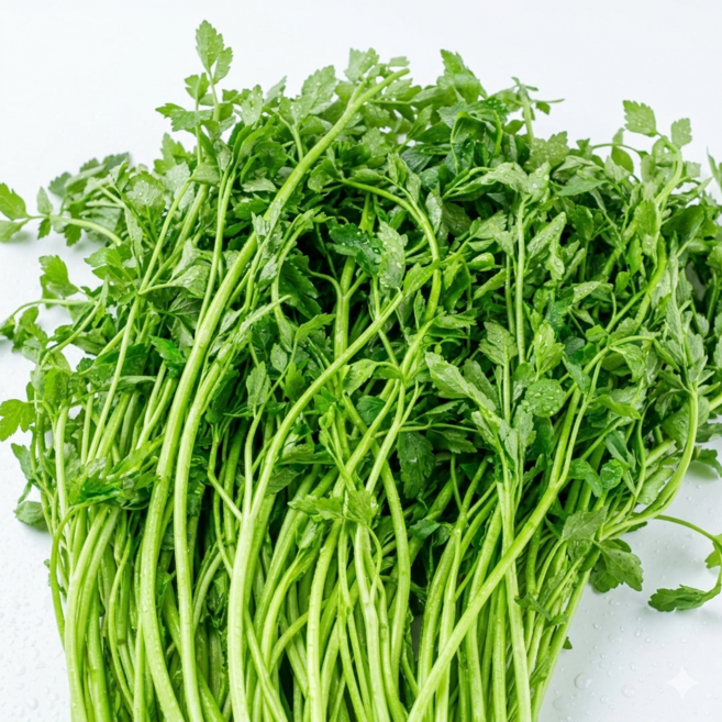 [농협특품] 특상품 당일수확 세척 손질 돌 미나리, 2kg, 1박스