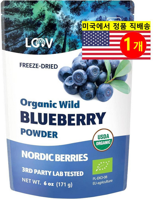CREATIVE 항산화 관리 오가닉 야생 블루베리 파우더 Blueberry Powder 171g 1개
