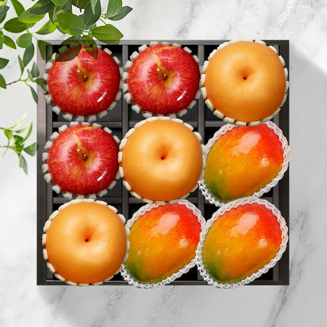 프리미엄 3종 과일 혼합 선물세트 (사과3 배3 애플망고3), 1박스