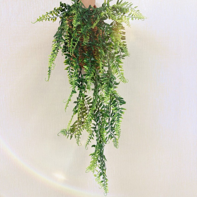 有感選物 仿真垂釣綠植藤蔓 波斯草 壁掛植物 居家婚禮佈置 75公分, 1個, E#波斯草-75cm