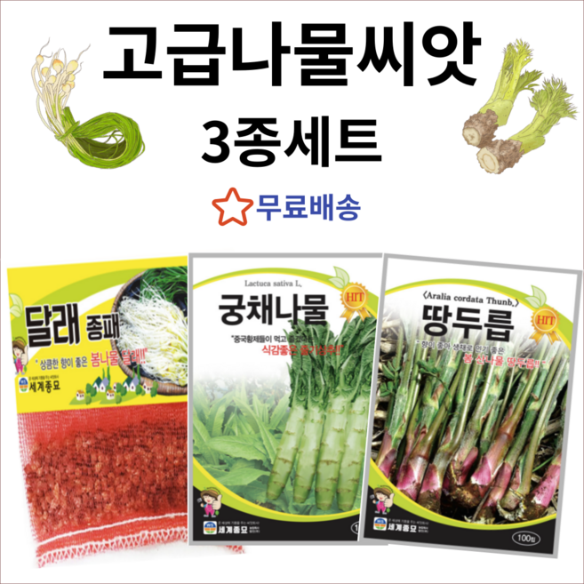 주주씨앗 세계 고급 나물씨앗 3종 세트 / 달래 궁채 땅두릅 산나물 종자 토종 민속 산채 채소씨앗 채소씨 종자 봄 여름 가을 겨울 월동 파종, 1개