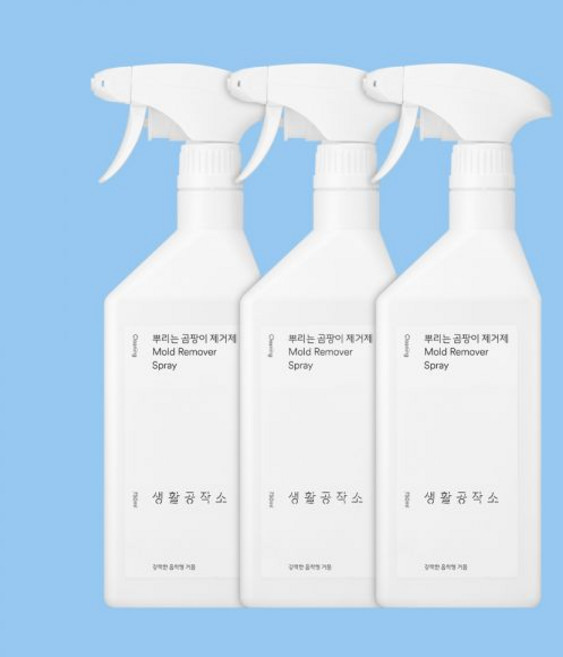 생활공작소 뿌리는 곰팡이제거제 결로 화장실 창틀 벽지곰팡이제거 3개, 750ml