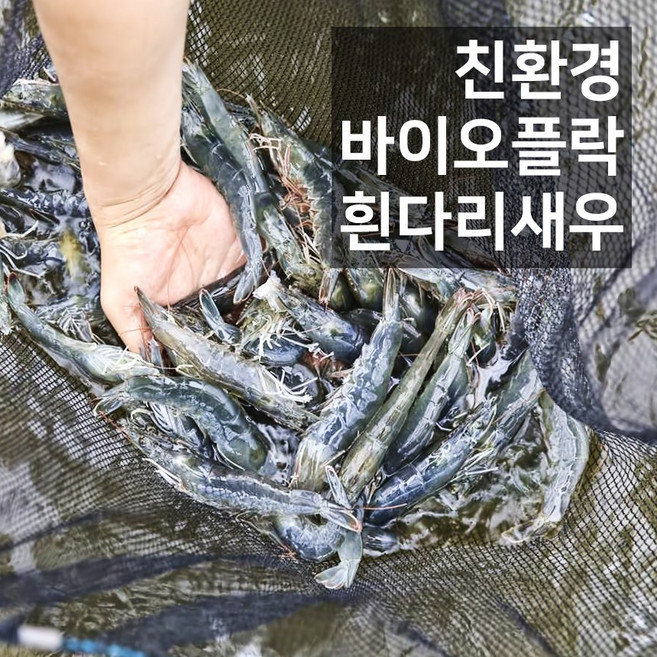 [방선생] 급냉 흰다리새우 500g + 500g