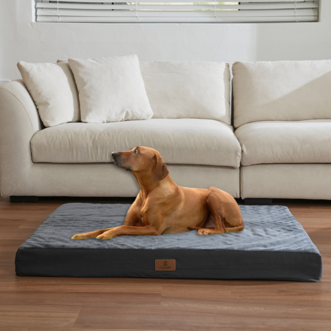 홀릭하임 대형견 슬개골 보호 에그폼 커버분리형 사각 방석 01 L ~ 2XL, 진그레이, 1개