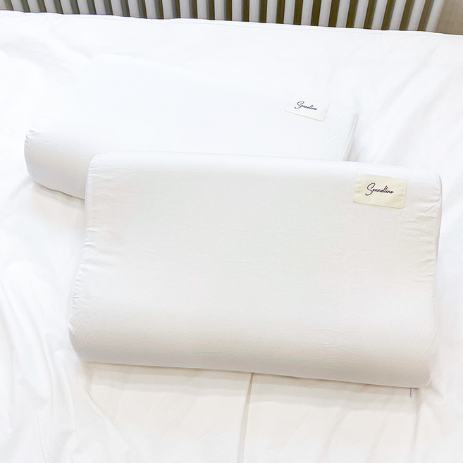 컴투더홈 프리미엄 메모리폼 라텍스 베개커버 2p