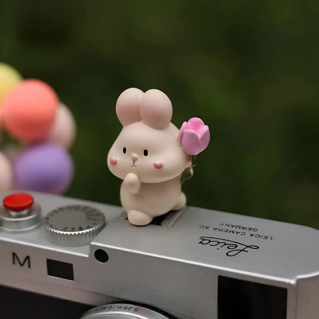 귀여운 토끼 모양 유니버설 핫슈 커버 (라이카 Q2 Q3 후지 X100V X-T5 소니 ZV-1 캐논 EOS Z5 카메라 액세, 02 D