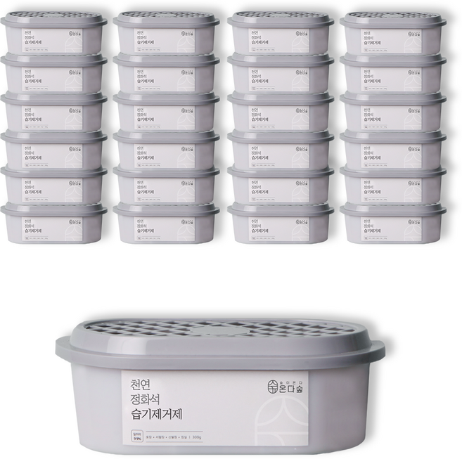 온다숲 반영구 천연제습제 습기제거제 정화석 탈취까지, 300g, 25개