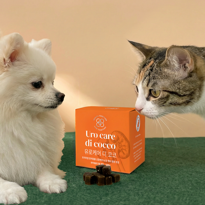 유로케어디코코(키드니케어디코코 신 리뉴얼) 강아지 고양이 신부전 관리 독소 배출 안심 반려동물 케어 콩팥 영양제 120g, 1세트, 신장, 120정