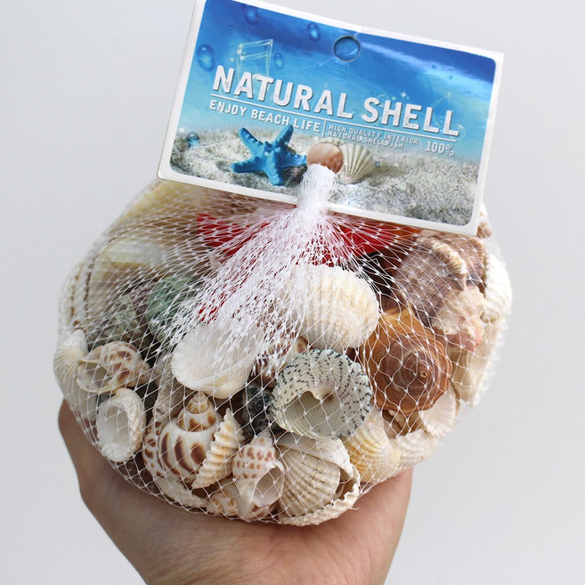 왓위셀 미니 조개 껍질 소라 가리비 껍데기 여름 바다 어항 소품 510g, 내추럴