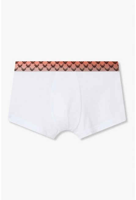 매장정품 EMPORIO ARMANI UNDERWEAR 엠포리오 아르마니 언더웨어 남성 그라데이션 로고 밴딩 드로즈(0816112010) 1710294