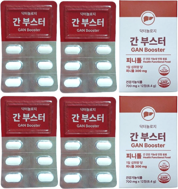 간부스터 밀크씨슬 닥터놀로지 피니톨, 12정, 2박스