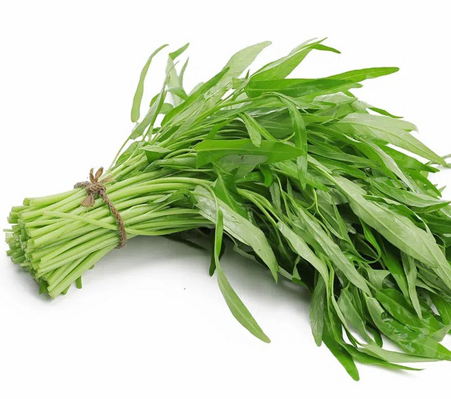 공심채 모닝글로리 동남아야채 베트남채소 당일수확 bao thecbe / rau muong, 1개, 1kg
