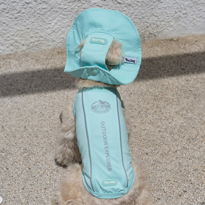 베일리펫 강아지 여름 해충방지 자외선차단 UV쿨가드, 1개, 민트