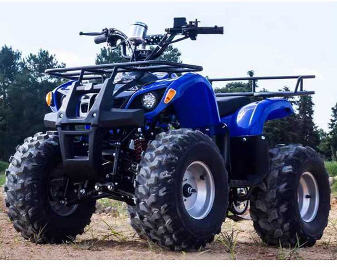 사륜바이크 ATV 산악용 농업용 팜트럭 오토바이 4륜, 상세페이지 참고, D