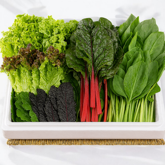 유기농 무농약 모듬 쌈채소 7종 유럽 상추 치커리 로메인, 유기농 인증, 1개, 1kg