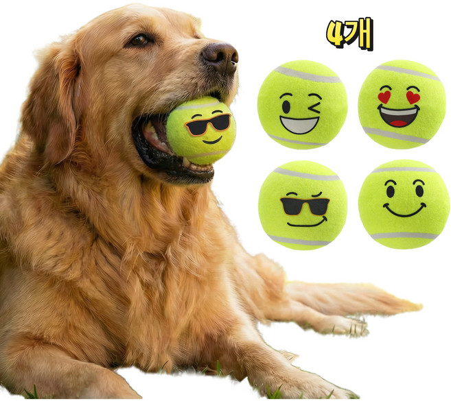 Tamu style 강아지 장난감 테니스공 4개 표정 1세트, 녹색