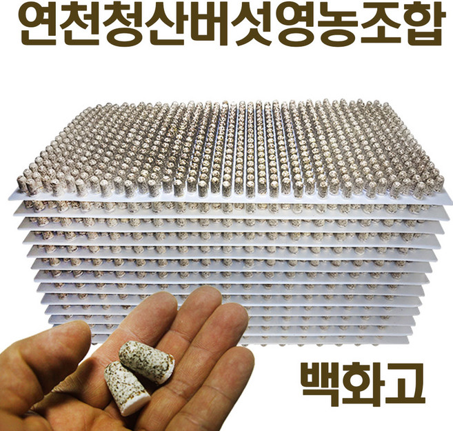 2026년 백화고 표고버섯 종균 버섯키우기 성형종균 총알 607구, 2개
