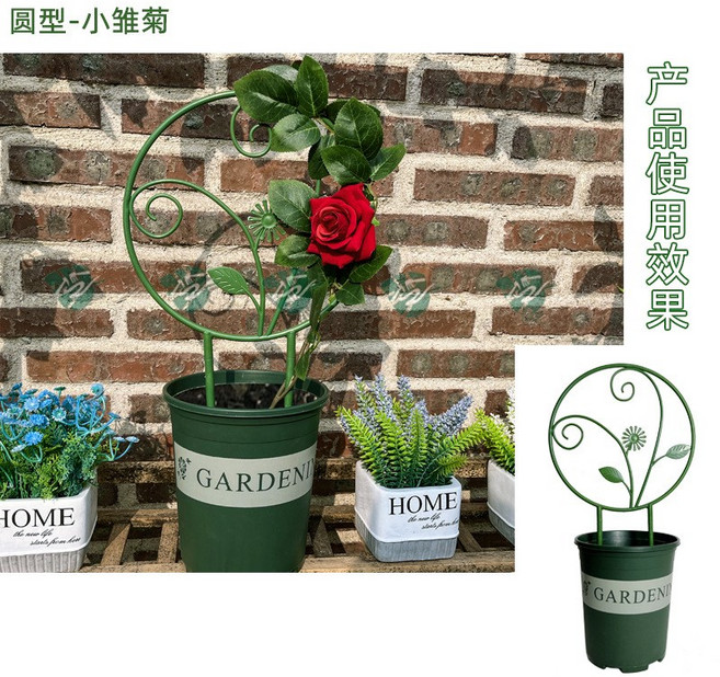 圓型爬藤架 植物支架 山烏龜支架 造型花架 植物支撐架 植物支撐 植物攀爬架, 1個, 雛菊花架