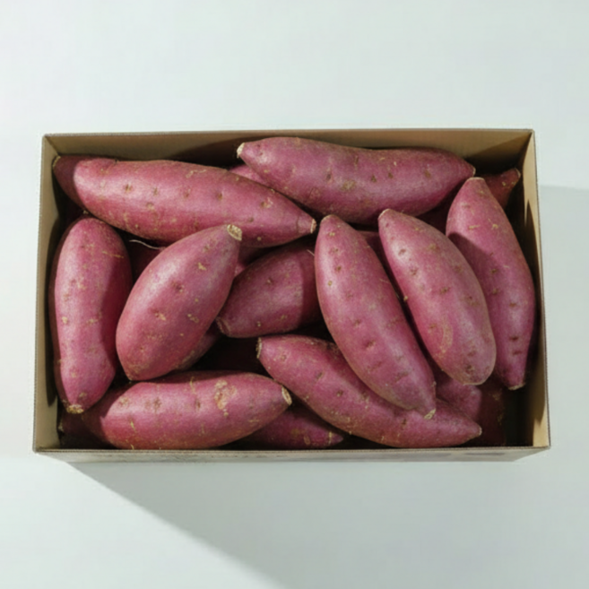 레드이츠 프리미엄 세척 해남 고구마 꿀고구마, 1개, 특상 10kg