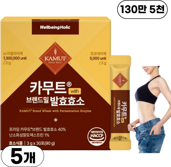 웰빙홀릭 카무트효소 분말 100% 식약청인증 130만 발효효소 골드 곡물 가루 HACCP, 5개, 90g