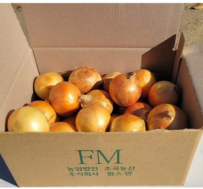 [팜스만] 2026년 햇양파 창녕 합천등 5kg 10kg 소 중 대 가정용 업소용 국내산 단단한양파, 1박스, 10kg_중