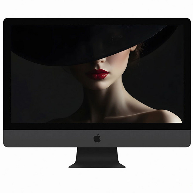 중고 애플 아이맥 프로 제온 18코어 27인치 5K 레티나 디스플레이 A1862 W-2191B 64G SSD 1TB Radeon Pro Vega 56, 블랙, 아이맥 프로 A1862, 64GB, MAC OS