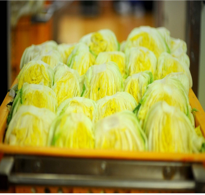 절임배추 강원도 고랭지 해남 괴산 김장배추 평창 횡성 영월 절인배추 농장을부탁해, 해남배추절임, 1개, 20kg