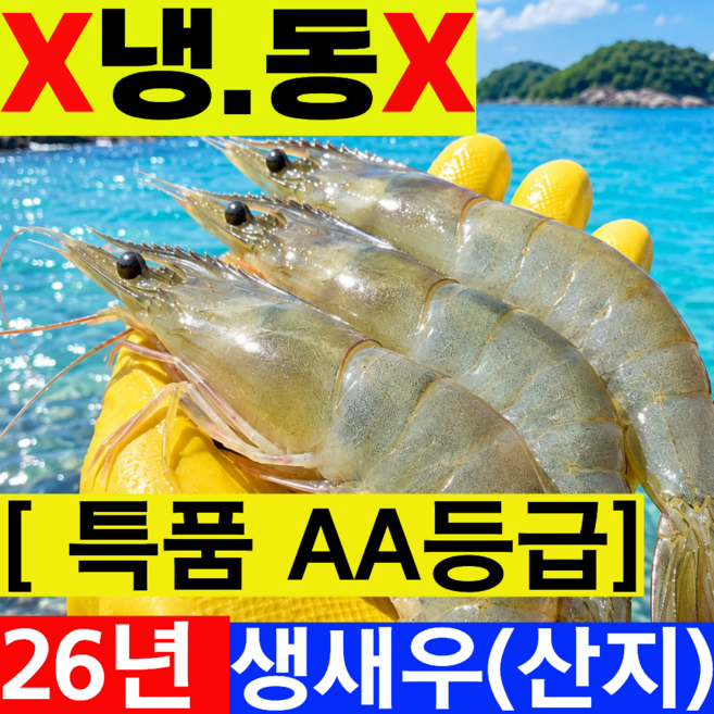 8위 - [26년특품AAA등급] 활새우 회 생새우 흰다리새우, 1박스, 1kg