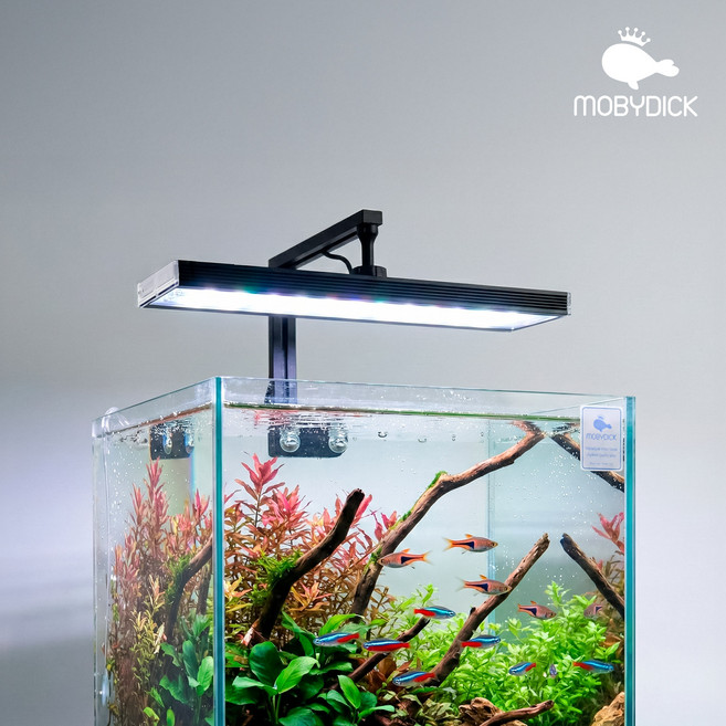 스텔라 아쿠아 블랙에디션 MU-300E, 1개